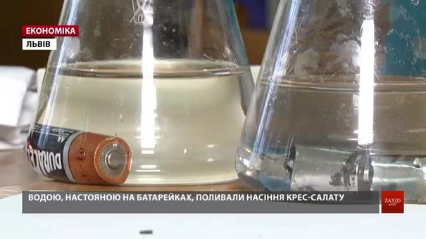 Львівські науковці з'ясували площу землі, яку забруднює одна батарейка