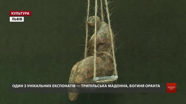 У Львівському історичному музеї вперше за останнє десятиліття показали трипільські знахідки