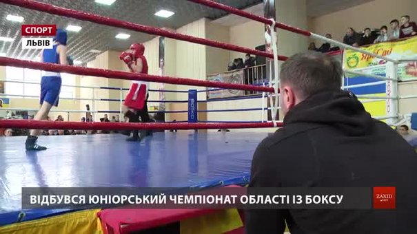 Львівські боксери позмагалися за перепустки на чемпіонат України