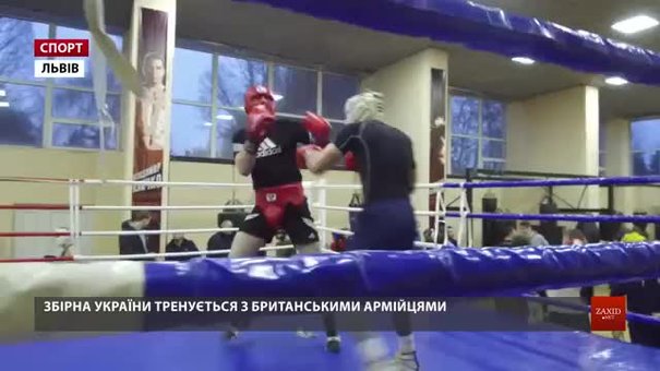 Боксерська збірна України у Львові тренується з армійськими атлетами Британії