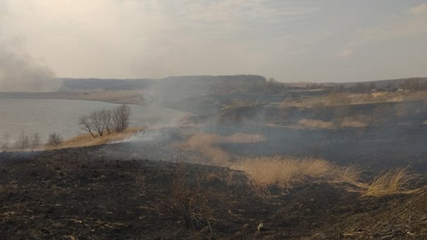 За вихідні на Львівщині вогнеборці ліквідували понад півсотні пожеж сухої трави