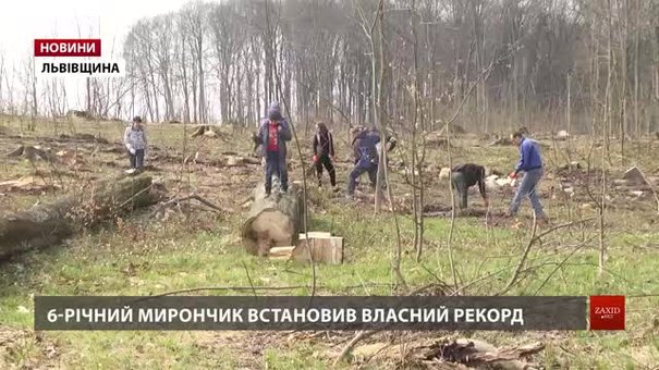 До рекордного висадження дерев на Львівщині долучились понад півтисячі людей
