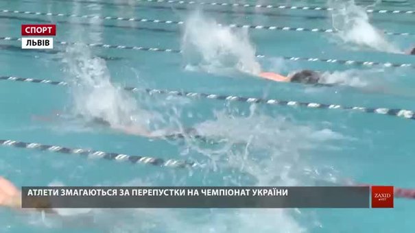 У Львові відбирають найуміліших плавців на чемпіонат України