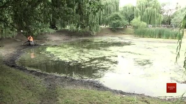 У Львові на вулиці Панча впорядковують озеро
