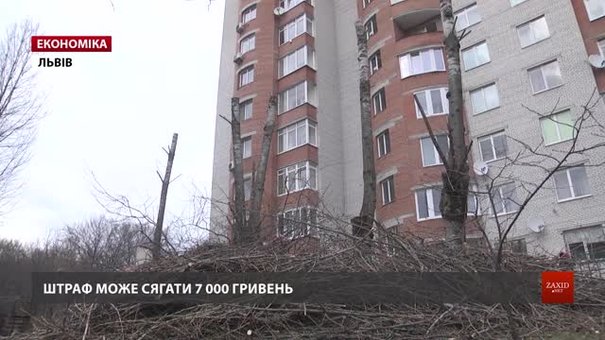 У Львові почали штрафувати за неправильну обрізку дерев