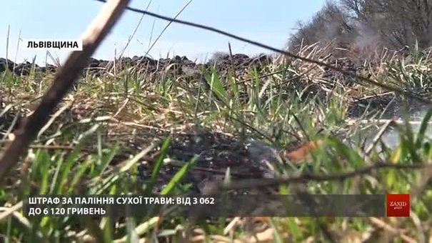 На Львівщині почали штрафувати паліїв трави