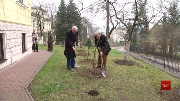 Саду біля Дому Франка у Львові повертають вигляд минулого століття