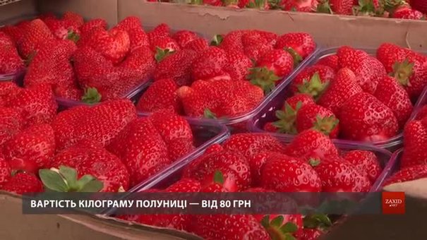 Кілограм полуниці на львівських ринках коштує від 80 грн