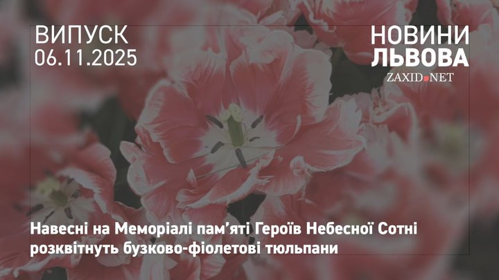У Львові висадять 170 тис. тюльпанів від нідерландських підприємців