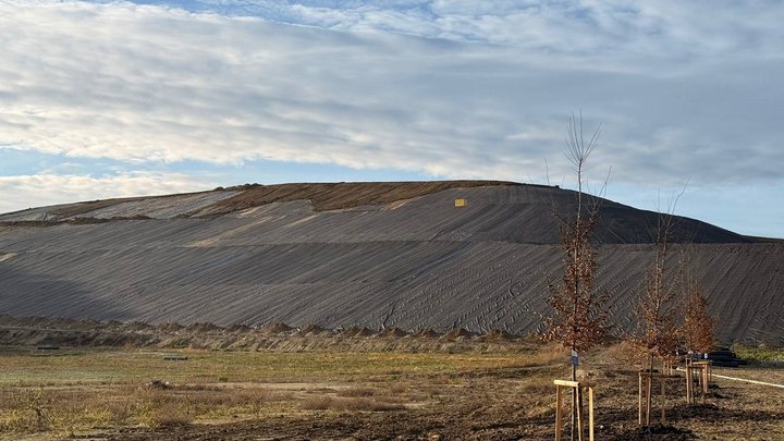 На Грибовицькому полігоні почали висаджувати перші дерева