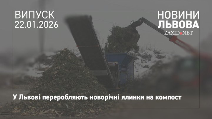 Після свят львів'яни здали на компостувальну станцію 10 тонн ялинок