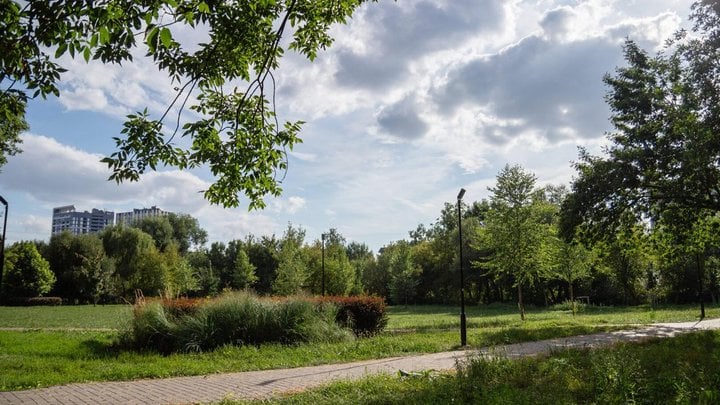 У львівському парку знайшли тіло двомісячного немовляти
