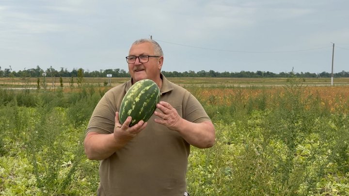 «Перші кавуни розібрали за 40 хвилин»